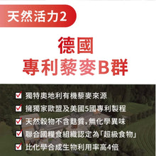 將圖片載入圖庫檢視器 達摩本草®香港授權經銷商_專利天然藜麥綜合B群_3個月套裝
