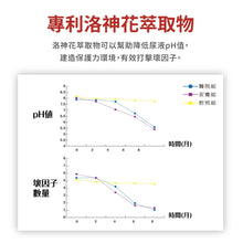 將圖片載入圖庫檢視器 達摩本草®香港授權經銷商_法國專利蔓越莓益生菌_3個月套裝
